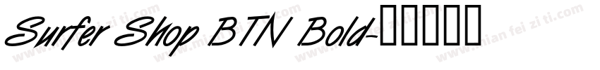 Surfer Shop BTN Bold字体转换